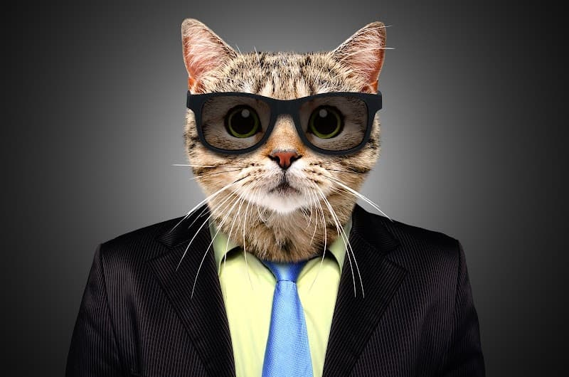 Sneaky Cat Private Eyes, Process Servers, Lie Detection, Mediation Service, Mobile Notary, & Skip Tracing