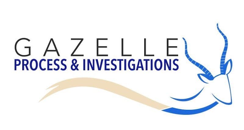 Gazelle Process & Investigations