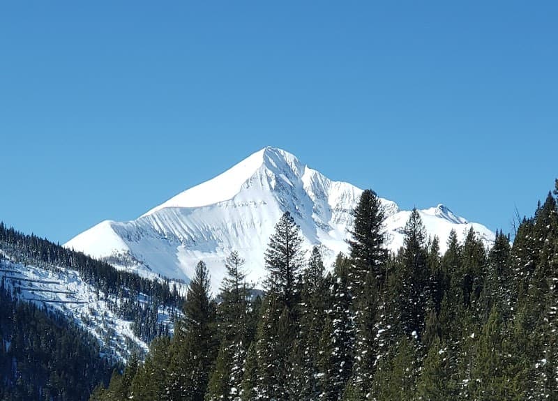 Investigative Solutions Inc